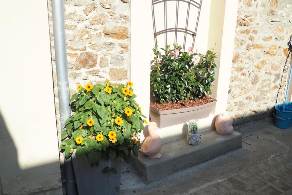 Appartement Duplex Et Terrasse A St Servan-St Malo Saint-Malo Zewnętrze zdjęcie